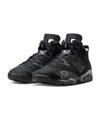 AIR JORDAN 6 RETRO "CAP AND GOWN"